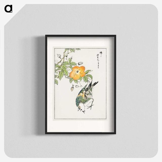 1-37_Pictorial-Monograph-of-Birds_blk