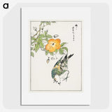 1-37_Pictorial-Monograph-of-Birds_picture
