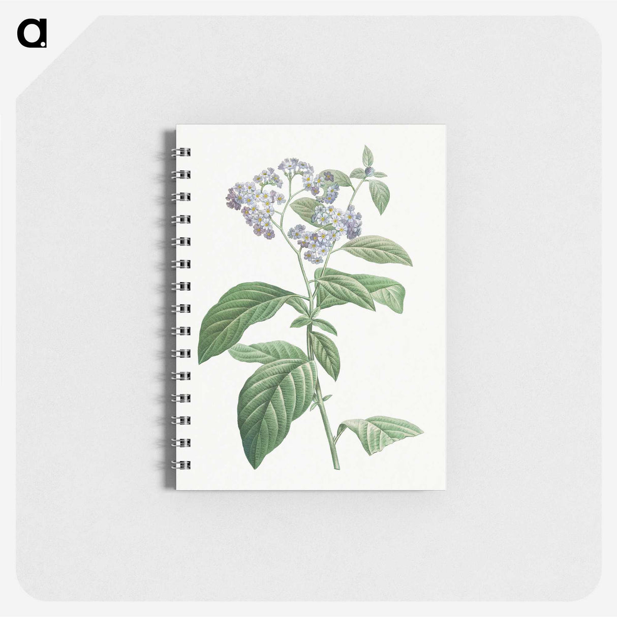 1-37_Pierre-Joseph-Redoute_memo