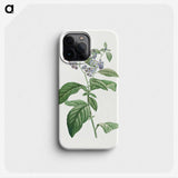 1-37_Pierre-Joseph-Redoute_phone