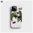 1-37_Pomona-Italiana_phone