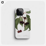 1-37_Pomona-Italiana_phone