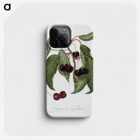 1-37_Pomona-Italiana_phone