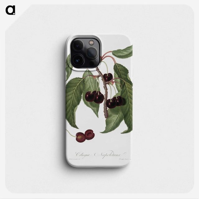 1-37_Pomona-Italiana_phone