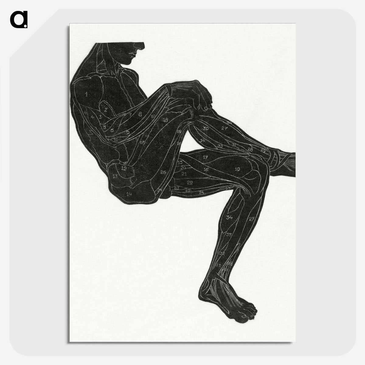 1-37_Reijer-Stolk_picture-crop