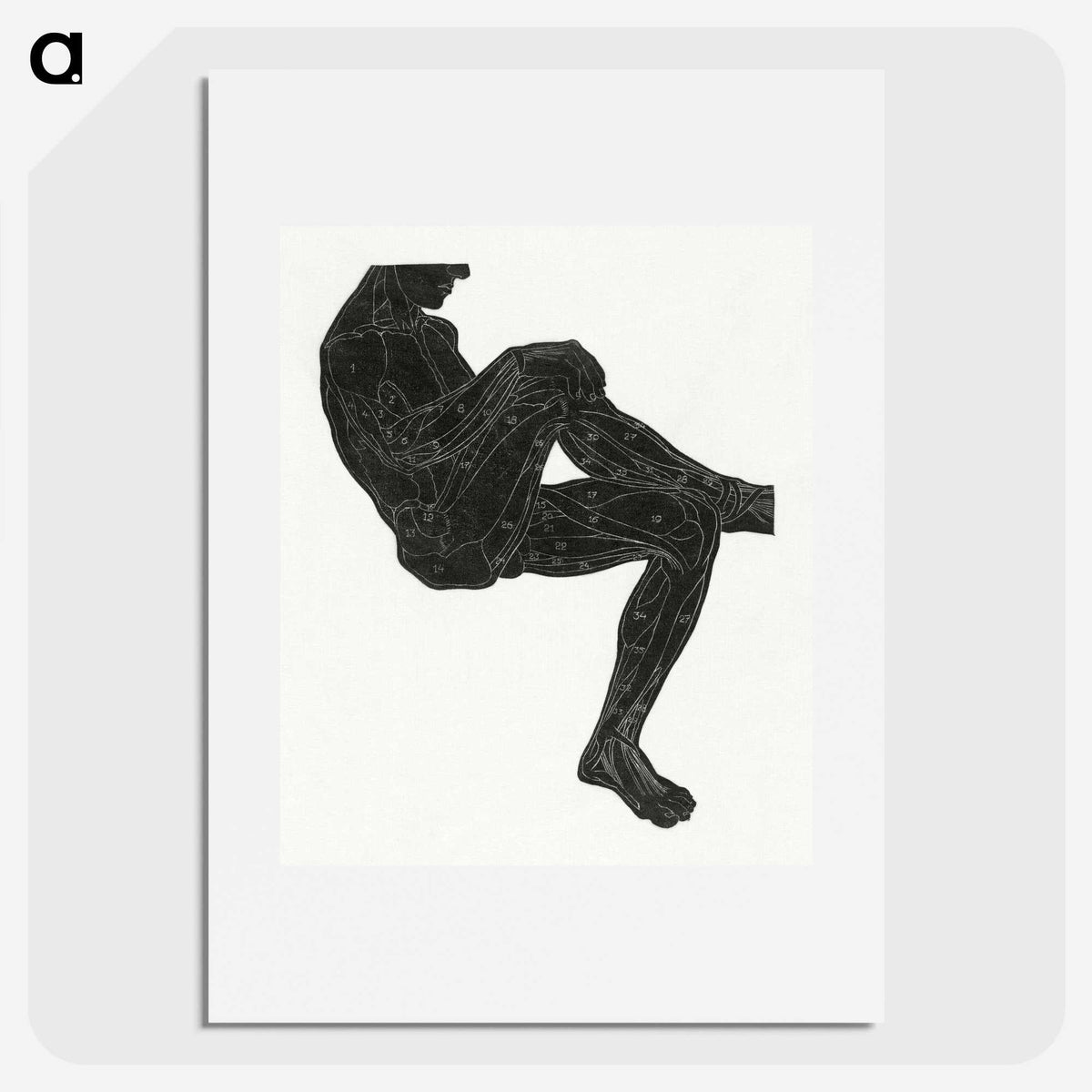 1-37_Reijer-Stolk_picture
