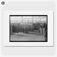 1-37_Russell-Lee_picture