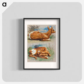 アートポスター-Studies of Calves, Stockbridge - サミュエル コールマン Poster.
