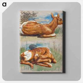 アートパネル-Studies of Calves, Stockbridge - サミュエル コールマン Canvas.