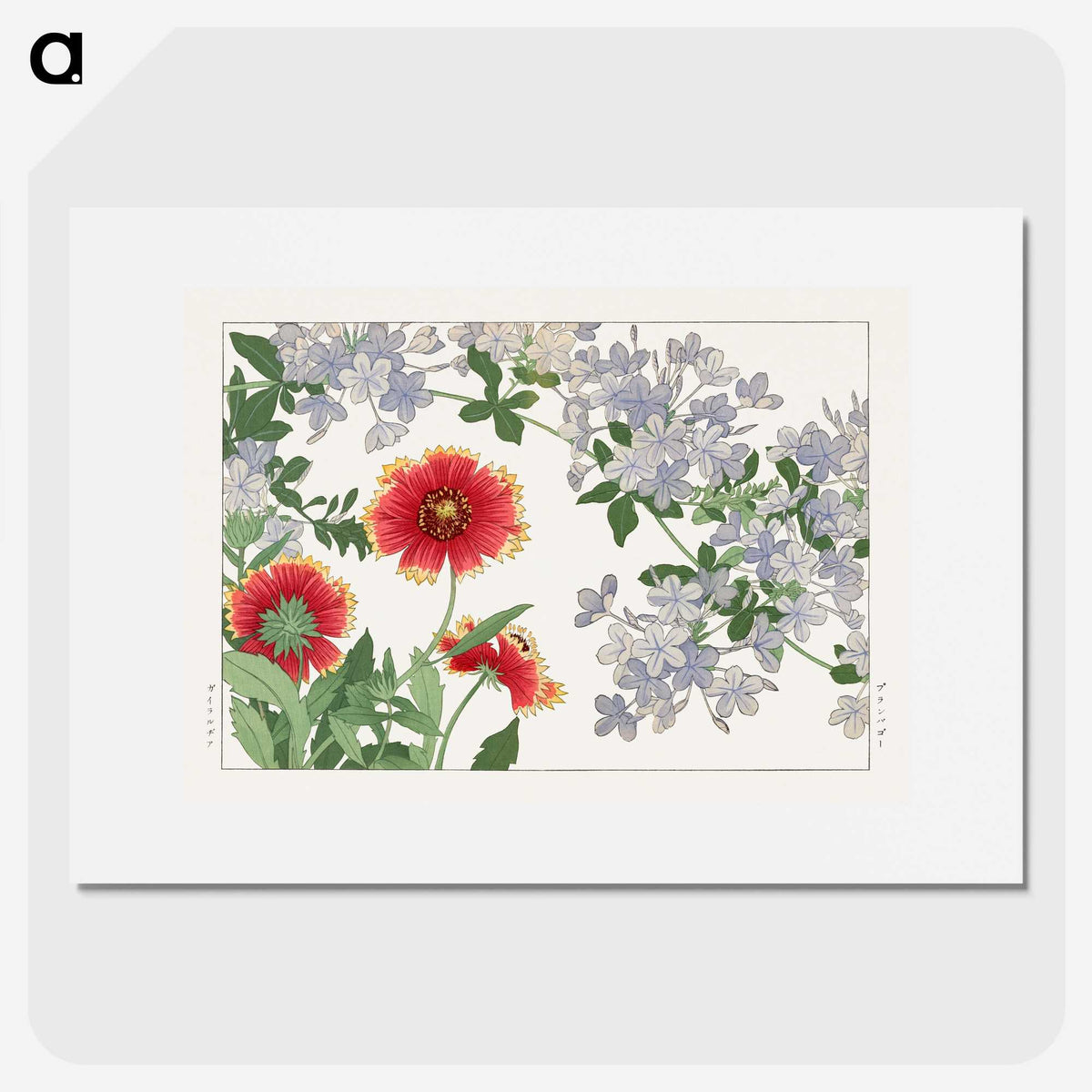 1-37_Seiyo-Soka-Zufu_picture