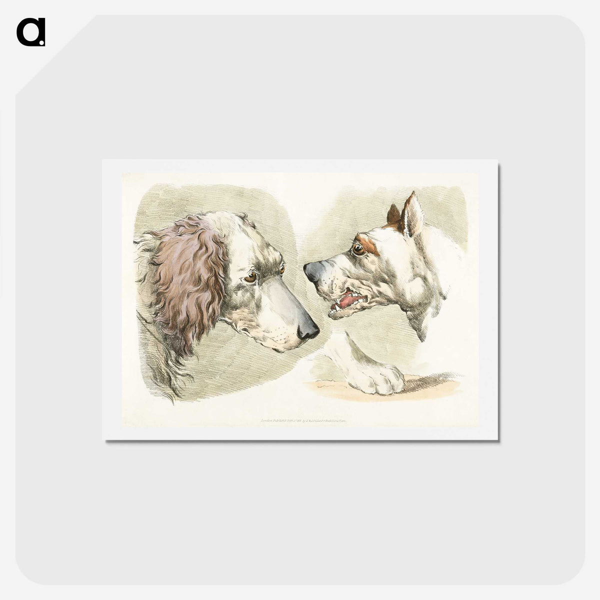 1-37_Sporting-Sketches_hagaki