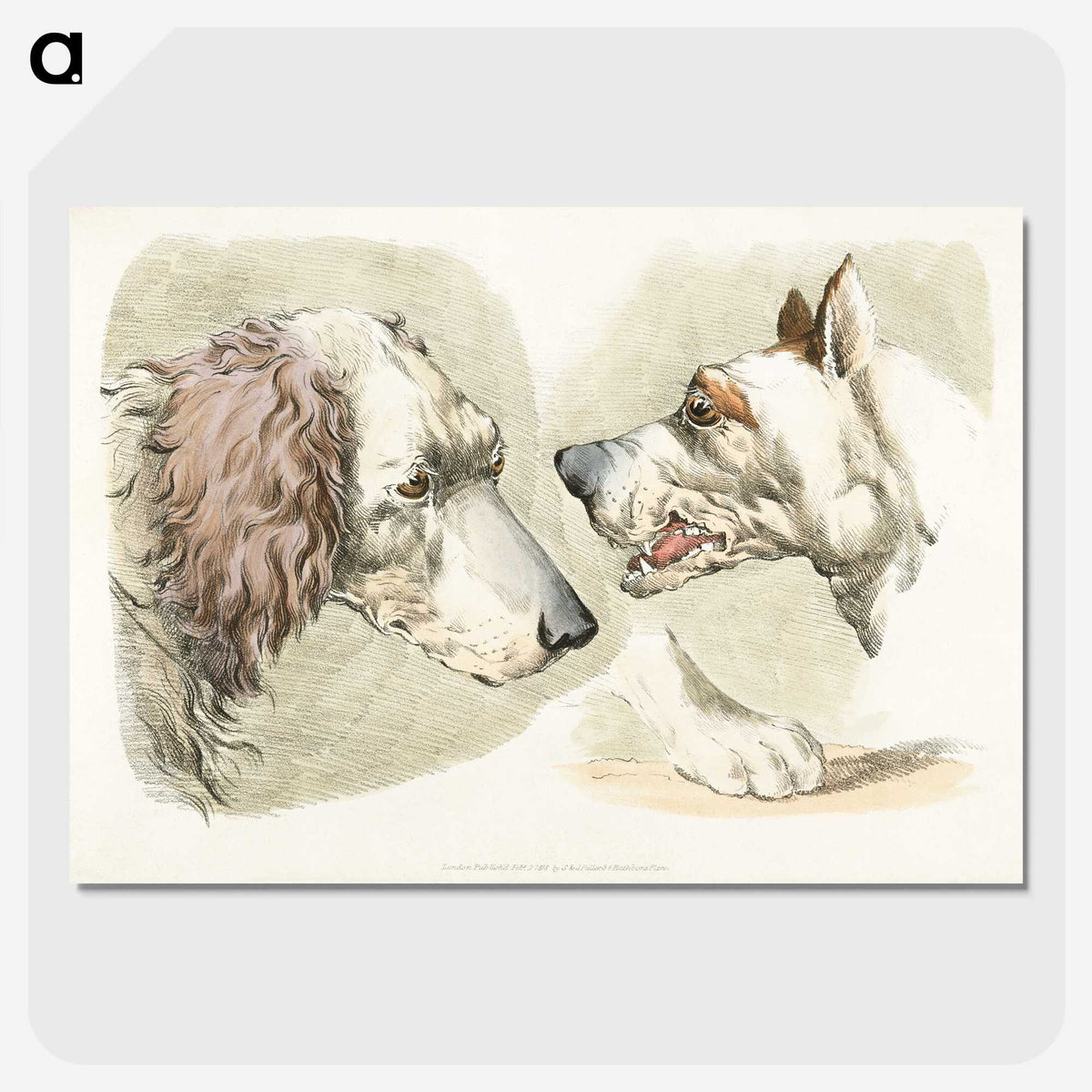 1-37_Sporting-Sketches_picture-crop