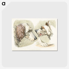 1-37_Sporting-Sketches_postcard
