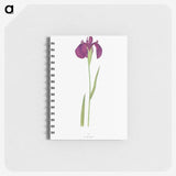 1-37_The-Genus-Iris_memo