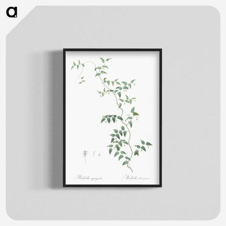 1-37_The-Lilies_blk-crop