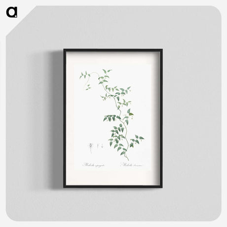 1-37_The-Lilies_blk