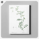 1-37_The-Lilies_canvas