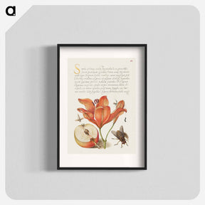 アートポスター-Insects, Orange Lily, Caterpillar, Apple, and Horse Fly from Mira Calligraphiae Monumenta
 - 書道のお手本 Poster.