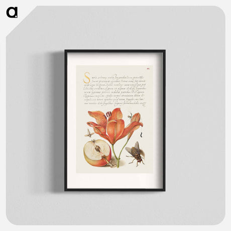 アートポスター-Insects, Orange Lily, Caterpillar, Apple, and Horse Fly from Mira Calligraphiae Monumenta
 - 書道のお手本 Poster.