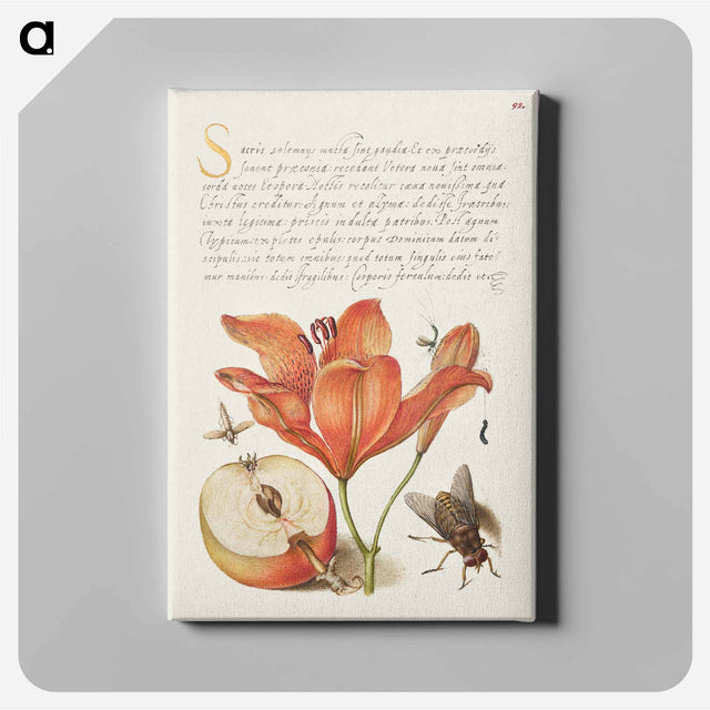 アートパネル-Insects, Orange Lily, Caterpillar, Apple, and Horse Fly from Mira Calligraphiae Monumenta
 - 書道のお手本 Canvas.