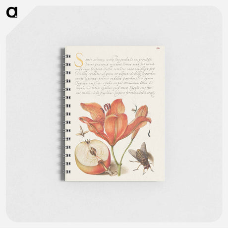 アートメモ帳-Insects, Orange Lily, Caterpillar, Apple, and Horse Fly from Mira Calligraphiae Monumenta
 - 書道のお手本 Memo.