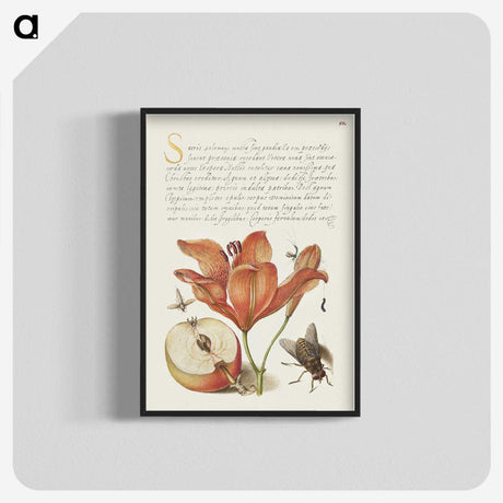 1-37_The-Model-Book-of-Calligraphy_blk-crop