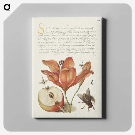 1-37_The-Model-Book-of-Calligraphy_canvas