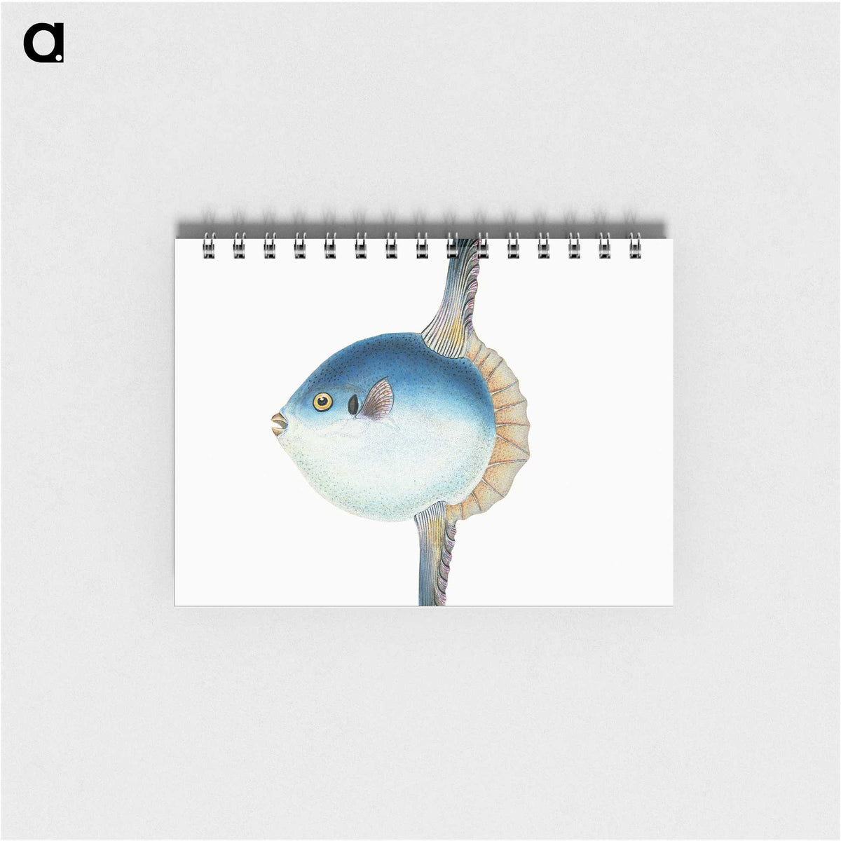1-37_The-Natural-History-of-British-Fishes_memo