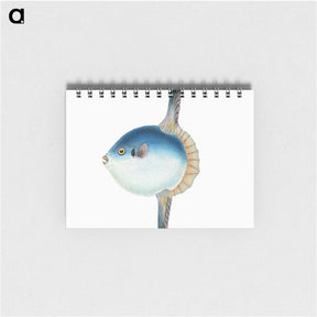 1-37_The-Natural-History-of-British-Fishes_memo