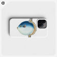 1-37_The-Natural-History-of-British-Fishes_phone