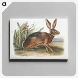 1-37_The-Viviparous-Quadrupeds_canvas