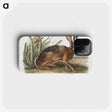 1-37_The-Viviparous-Quadrupeds_phone