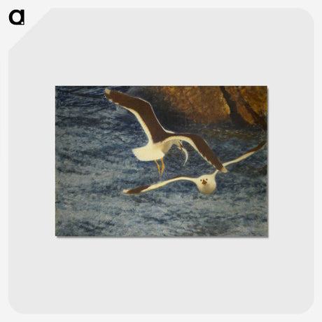 1-37_Thiel-Gallery_postcard