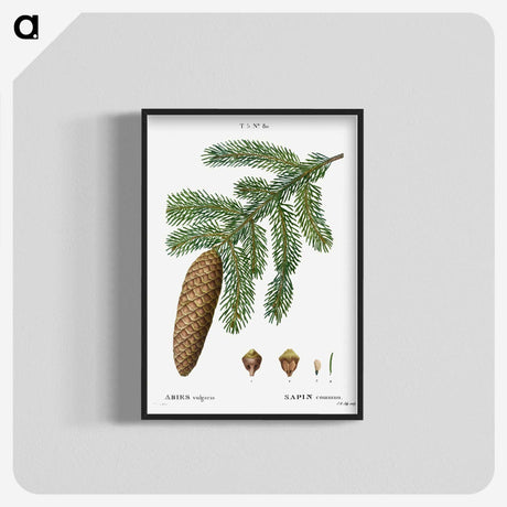 1-37_Treatise-on-Trees-and-Shrubs_blk-crop