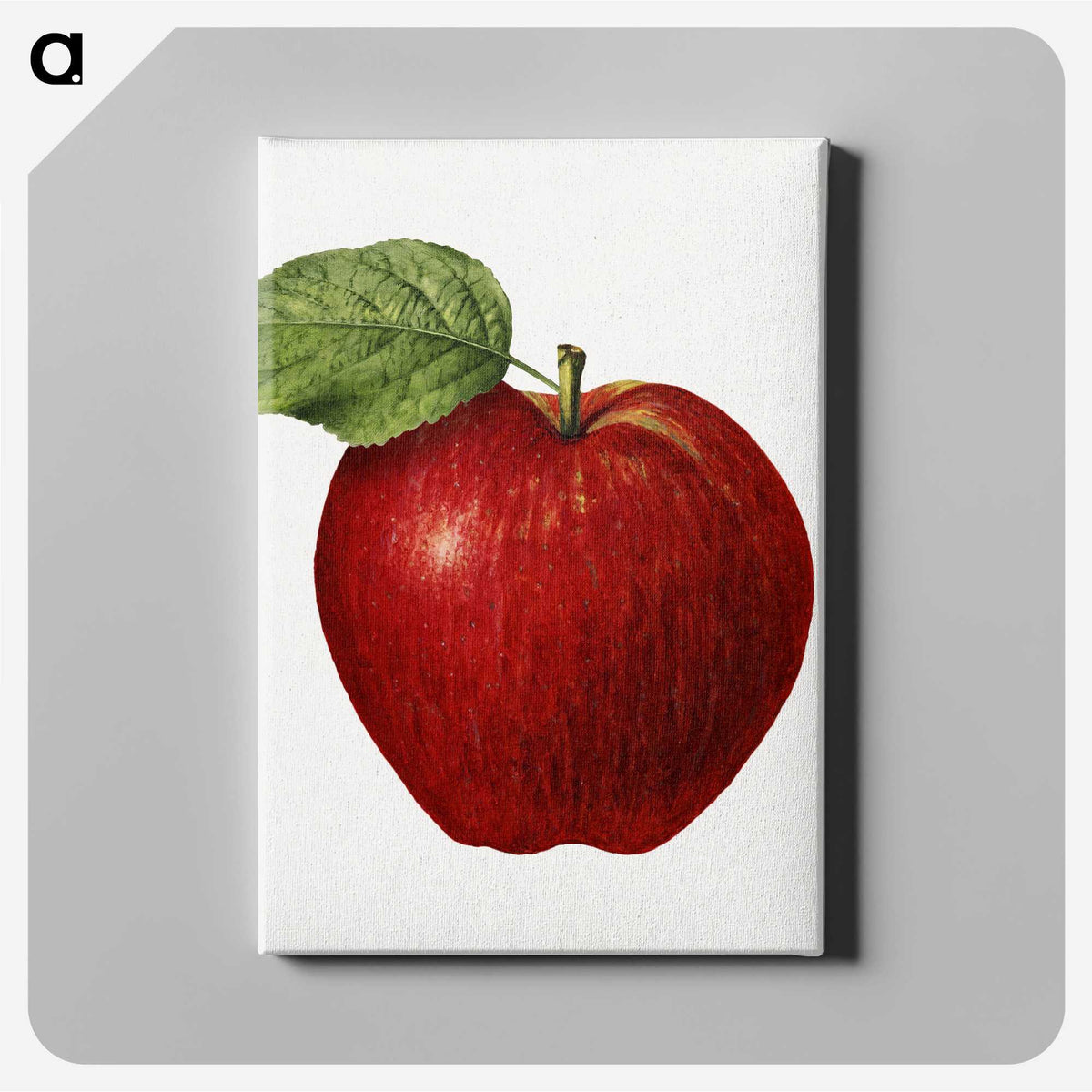 1-37_USDA-Watercolor-Fruit-Painting-Collection_canvas