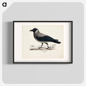アートポスター-Hooded crow - ヴィルヘルム フォン ライト Poster.