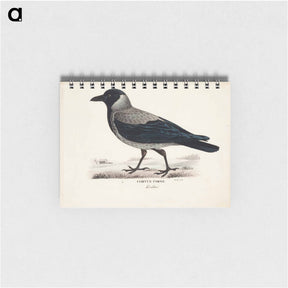 アートメモ帳-Hooded crow - ヴィルヘルム フォン ライト Memo.