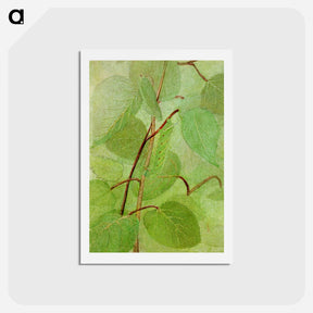 アートポストカード-Sphinx Caterpillar - アボット ハンダーソン セイヤー Postcard.