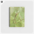 1-38_Abbott-Handerson-Thayer_memo