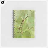 1-38_Abbott-Handerson-Thayer_memo