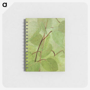 1-38_Abbott-Handerson-Thayer_memo