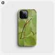 1-38_Abbott-Handerson-Thayer_phone