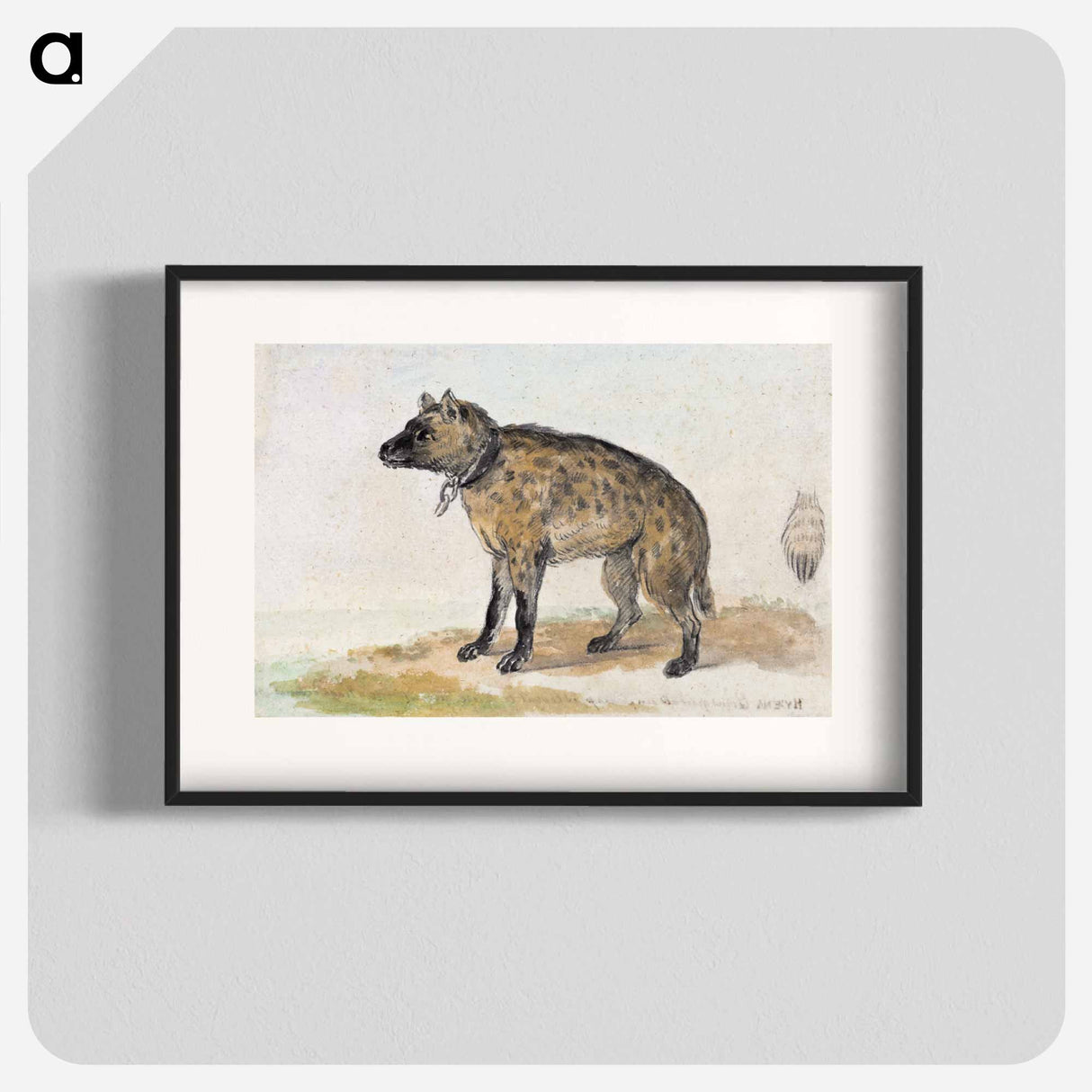 Spotted hyena - アールト シューマン Poster.