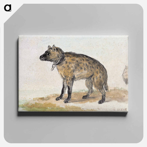 Spotted hyena - アールト シューマン Canvas.