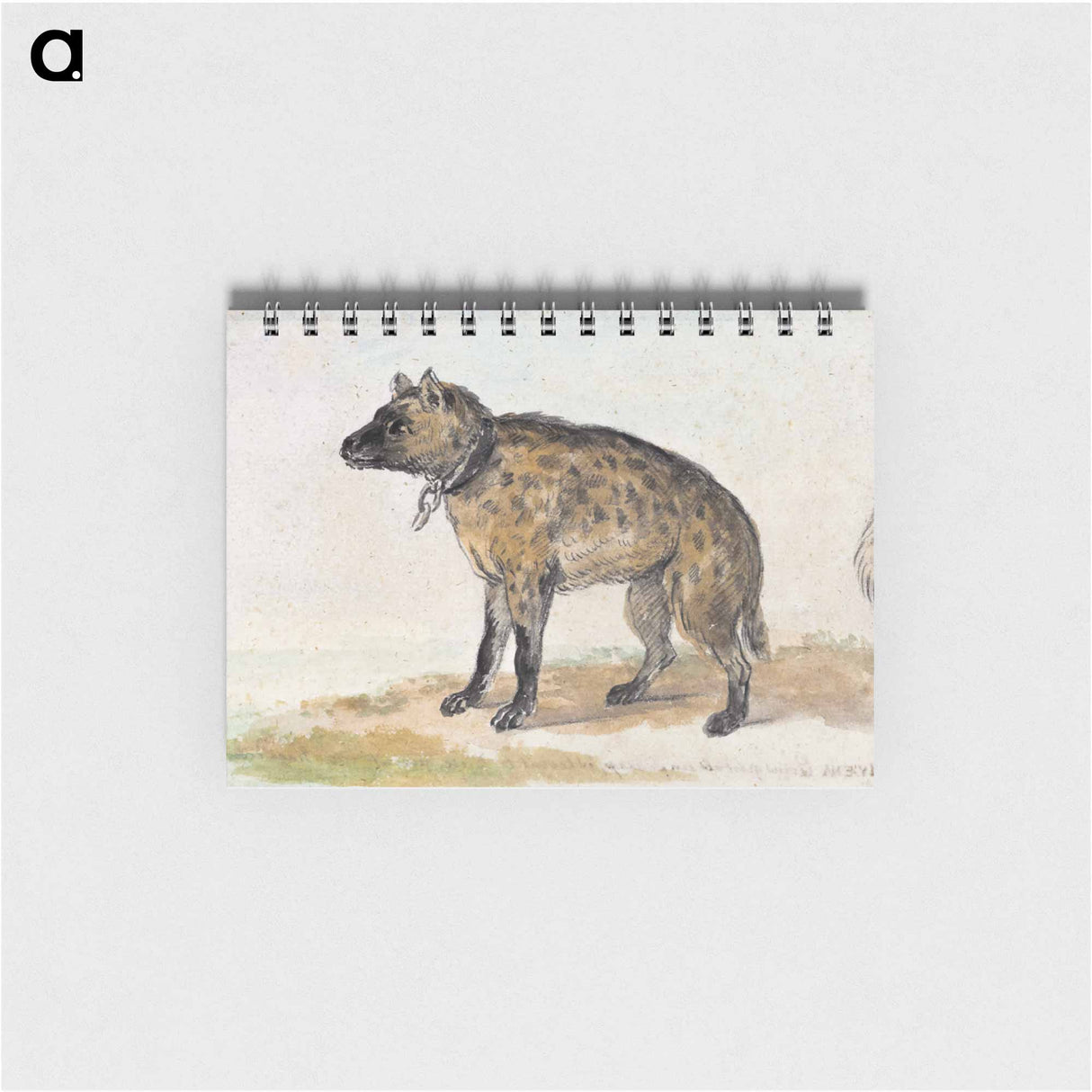 Spotted hyena - アールト シューマン Memo.