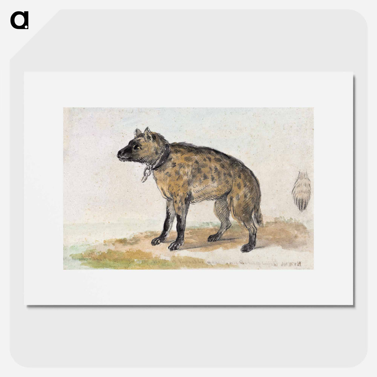 Spotted hyena - アールト シューマン Poster.