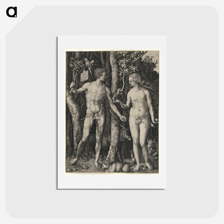 1-38_Albrecht-Durer_hagaki