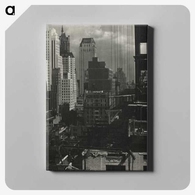 1-38_Alfred-Stieglitz_canvas