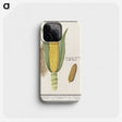 1-38_Anselmus-Boetius-de-Boodt_phone