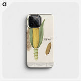 1-38_Anselmus-Boetius-de-Boodt_phone
